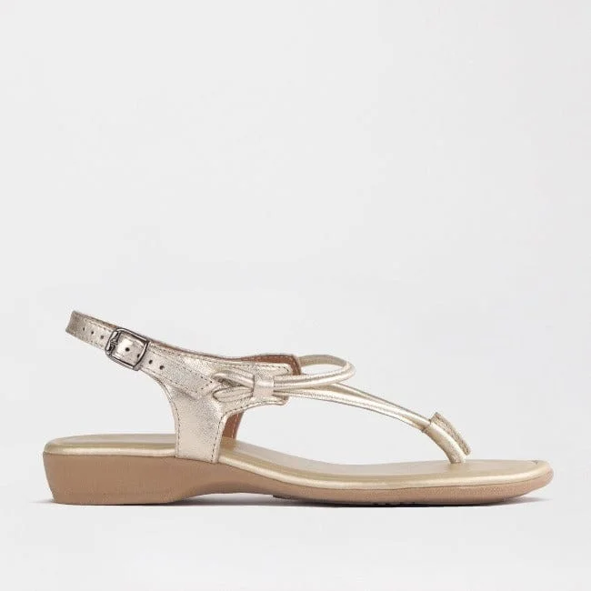 Women's Thong Flat Sandal in Gold- 10732